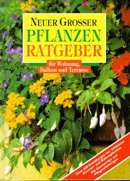 Neuer großer Pflanzenratgeber für Wohnung und Terrasse