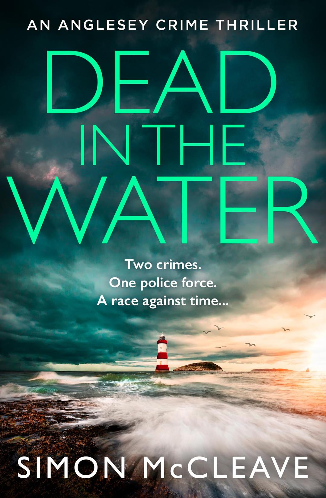 Dead in the Water: The unputdownable new gripping crime thriller from the author of the bestselling Snowdonia DI Ruth Hunter series (The Anglesey Series)