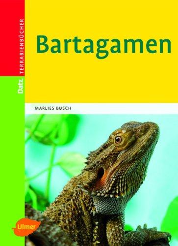 Bartagamen