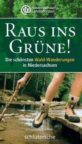 Raus ins Grüne! Die schönsten Wald-Wanderungen in Niedersachsen