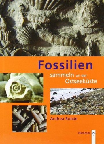 Fossilien sammeln an der Ostseeküste: Trilobiten, Seeigel, Donnerkeile und Co. - Fossilführende Gesteine des südwestlichen Ostseeraumes