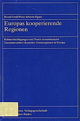 Europas kooperierende Regionen: Rahmenbedingungen und Praxis transnationaler Zusammenarbeit deutscher Grenzregionen in Europa