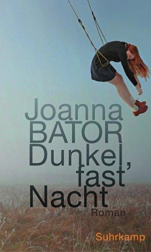 Dunkel, fast Nacht: Roman