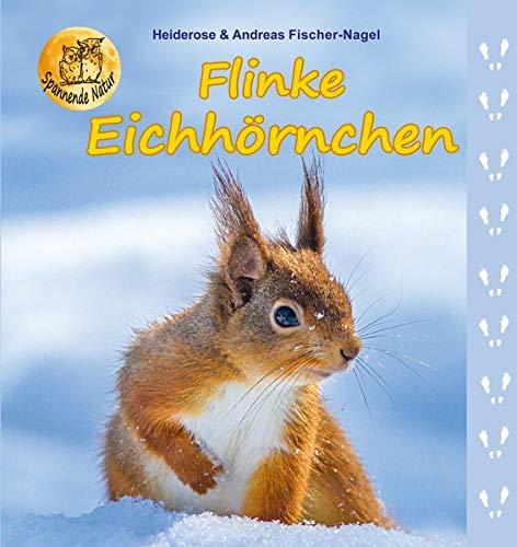 Flinke Eichhörnchen (Spannende Natur)