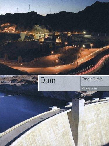 Dam (Reaktion Books - Objekt)