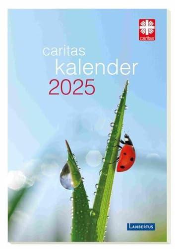 Caritas-Kalender 2025: Das Caritas-Kalenderbuch 2025