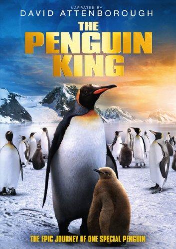 The Penguin King (DVD) [UK Import]