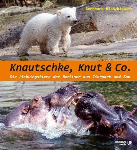 Knautschke, Knut & Co: Die Lieblingstiere der Berliner aus Tierpark und Zoo