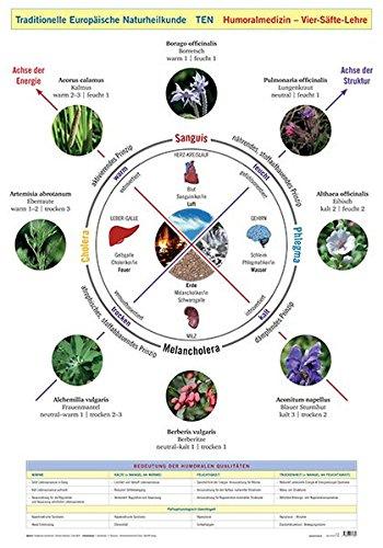 Wandtafel Traditionelle Europäische Naturheilkunde TEN: Humoralmedizin - Vier-Säfte-Lehre