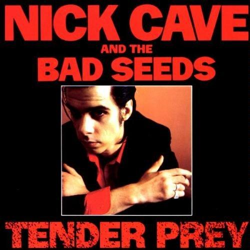 Tender Prey [Vinyl LP] [Vinyl LP]