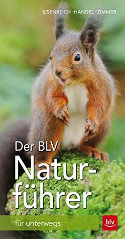 Der BLV Naturführer: für unterwegs