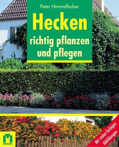 Hecken richtig pflanzen und pflegen