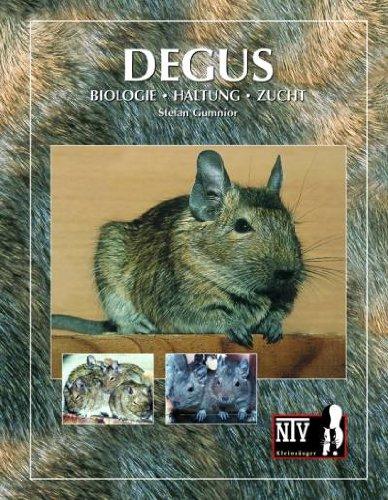 Degus: Biologie - Haltung - Zucht