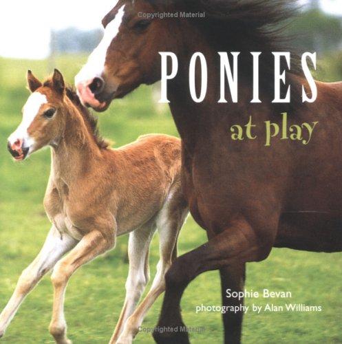 Ponies At Play