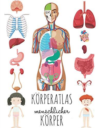 Körperatlas Menschlicher Körper: Buch vom körper für kinder, Mein körper organe.