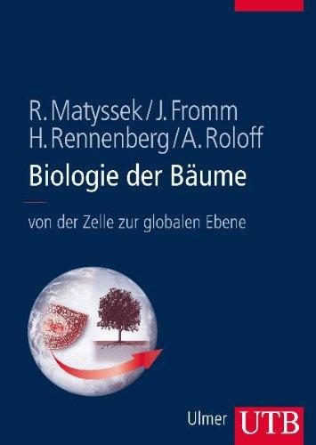 Biologie der Bäume: Von der Zelle zur globalen Ebene: von der Zellbiologie zur globalen Ebene