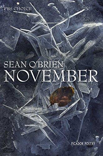 November (Picador Poetry)