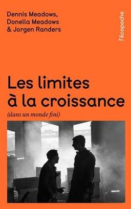 Les limites à la croissance (dans un monde fini) : le rapport Meadows, 30 ans après