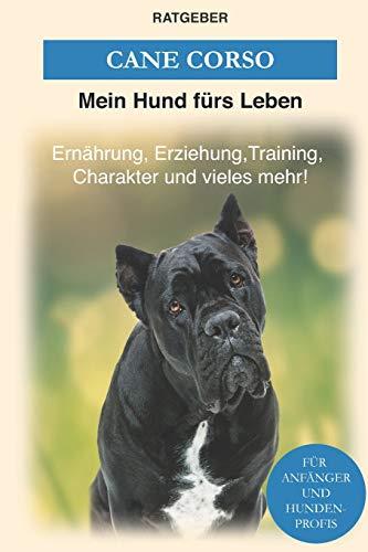 Cane Corso: Erziehung, Training, Charakter von Cane Corso - Der Cane Corso Ratgeber