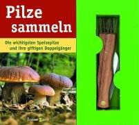 Pilze sammeln: Die wichtigsten Speisepilze und ihre giftigen Doppelgänger