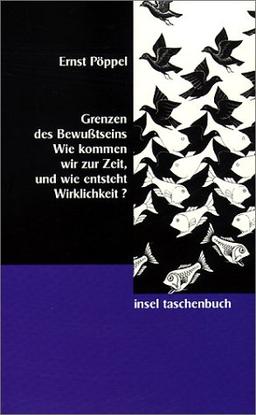 Grenzen des Bewußtseins: Wie kommen wir zur Zeit, und wie entsteht Wirklichkeit?