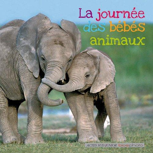 La journée des bébés animaux