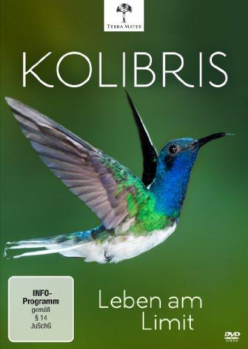 Kolibris - Leben am Limit