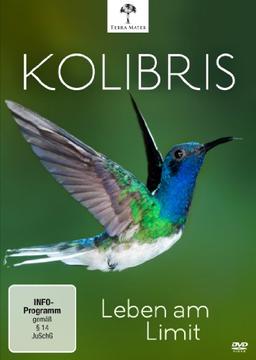 Kolibris - Leben am Limit