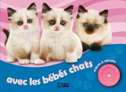 Ecoute & compte avec les bébés chats