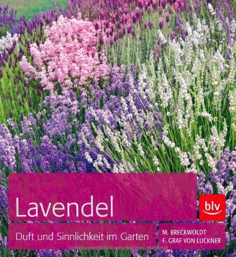 Lavendel: Duft und Sinnlichkeit im Garten