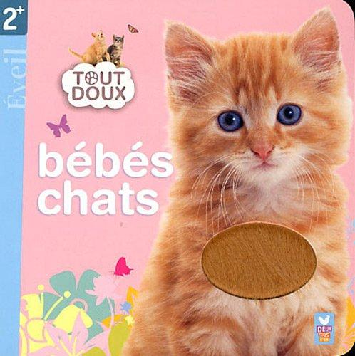 Bébés chats