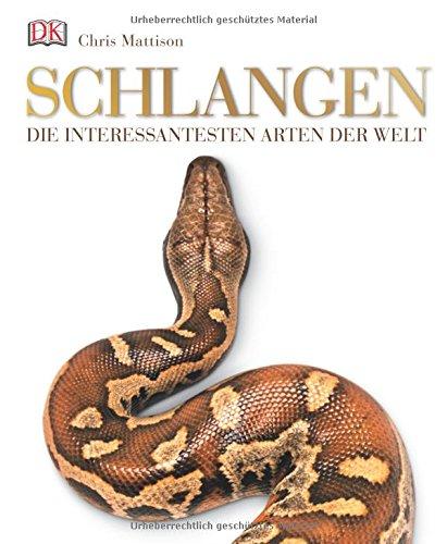 Schlangen: Die interessantesten Arten der Welt