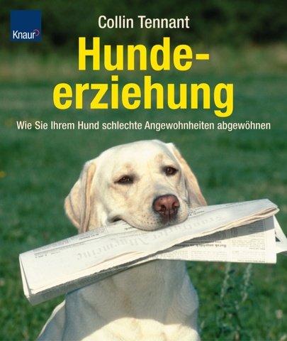 Hundeerziehung: Wie Sie Ihrem Hund schlechte Angewohnheiten abgewöhnen