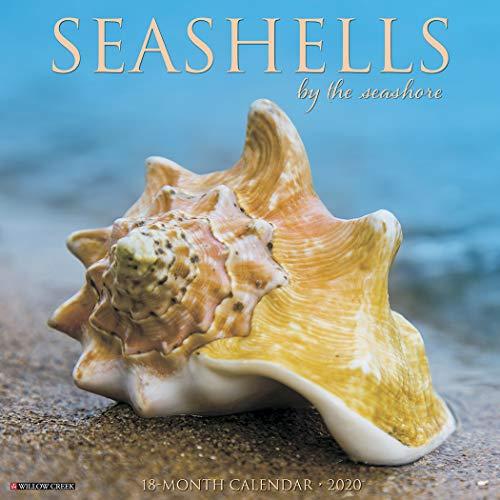 SEA SHELLS 2020 WALL CAL