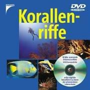 Korallenriffe