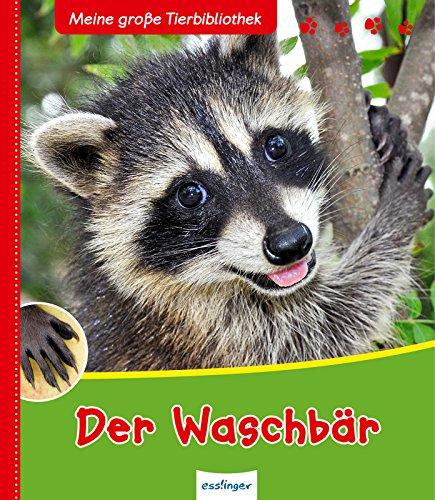 Meine große Tierbibliothek: Der Waschbär