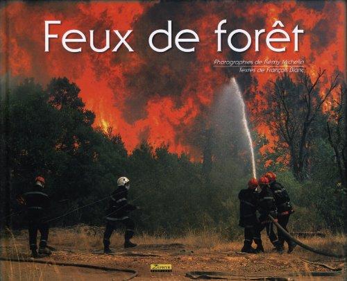 Feux de forêt