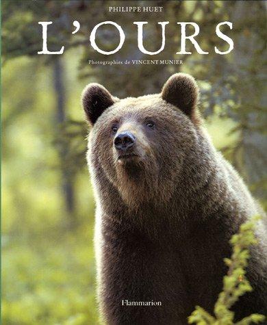 L'ours