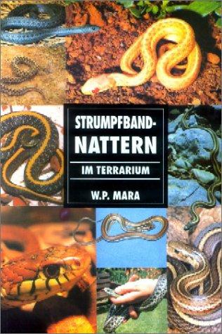 Strumpfbandnattern im Terrarium