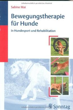 Bewegungstherapie für Hunde in Hundesport und Rehabilitation