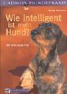 Wie intelligent ist mein Hund?