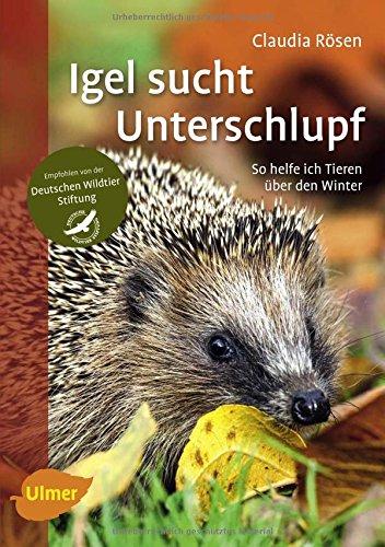 Igel sucht Unterschlupf: So helfe ich Tieren über den Winter