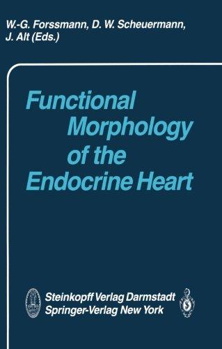 Functional Morphology of the Endocrine Heart