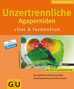 Unzertrennliche Agaporniden vital & farbenfroh