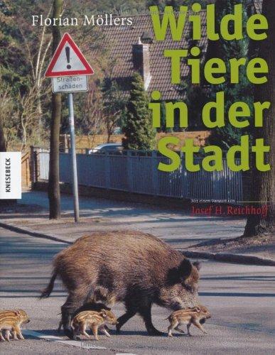 Wilde Tiere in der Stadt. Bildband zur Natur - Fotografie: Inseln der Artenvielfalt