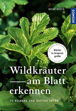 Wildkräuter am Blatt erkennen: 64 essbare Arten