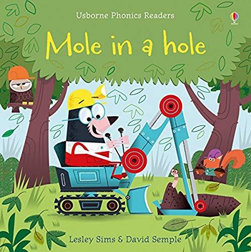 Sims, L: Mole in a Hole (Phonics Readers)