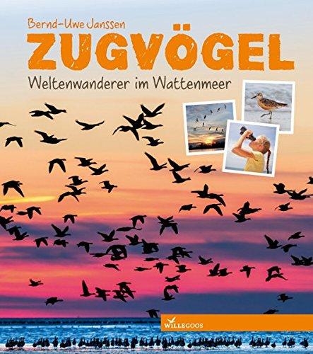 Zugvögel: Weltenwanderer im Wattenmeer