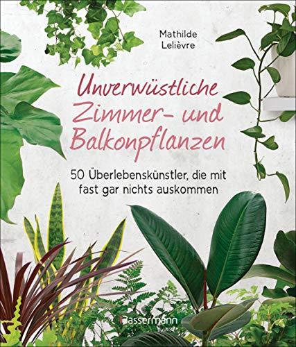 Unverwüstliche Zimmer- und Balkonpflanzen: 50 Überlebenskünstler, die mit fast gar nichts auskommen