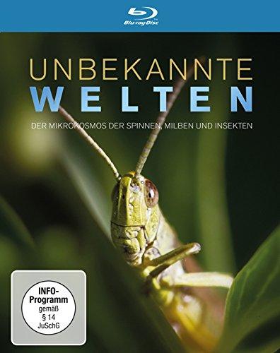 Unbekannte Welten - Der Mikrokosmos der Spinnen, Milben und Insekten [Blu-ray]